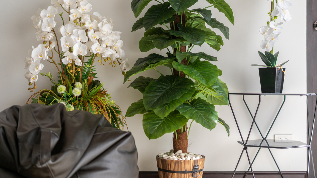 Do Artificial Plants Look Fake?