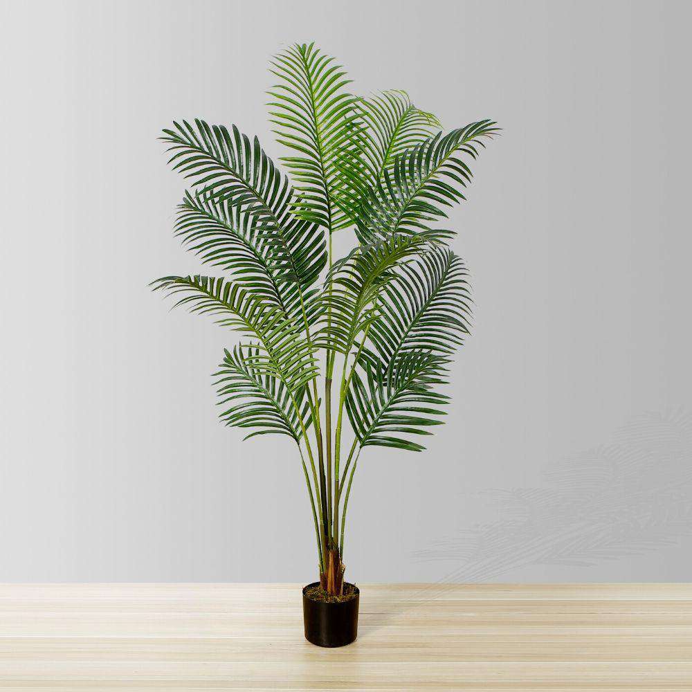 Is A Travellers Palm Tree An Indoor Plant?