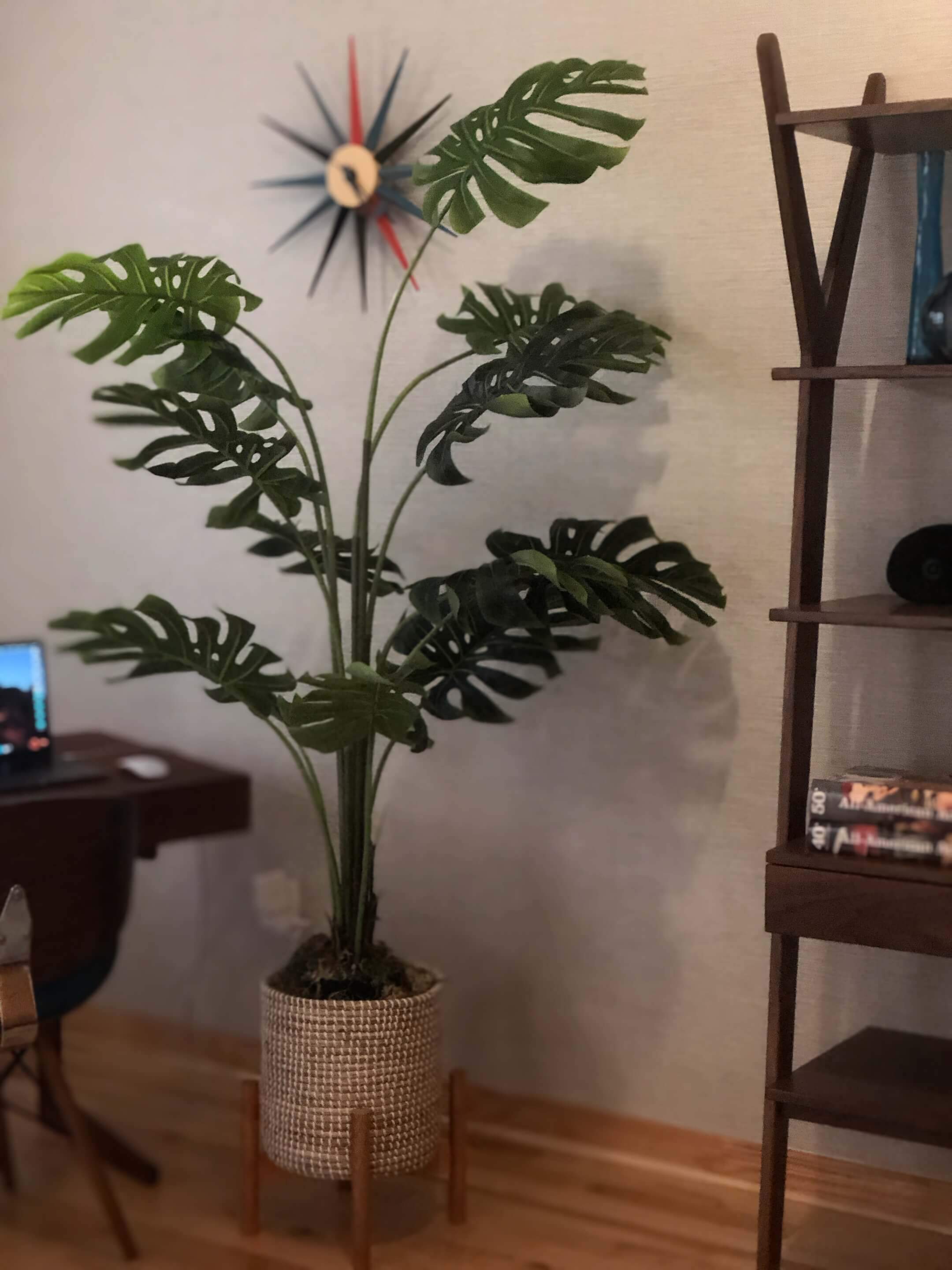 Complete Guide How to Pot Your Faux Fiddle Leaf Fig Tree