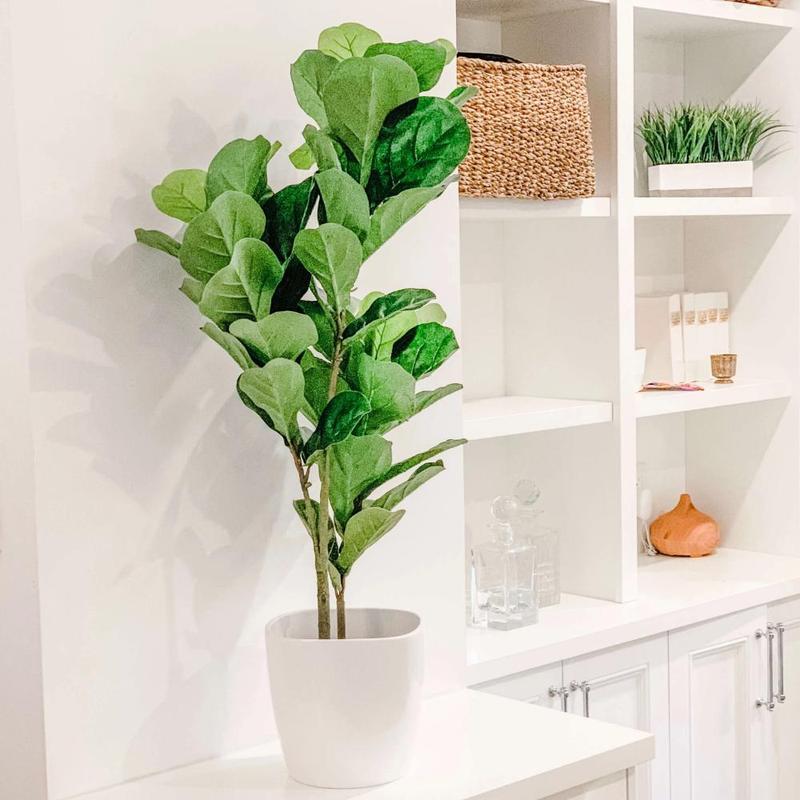 Top Three Reasons You Need Fake Plants in Your Office