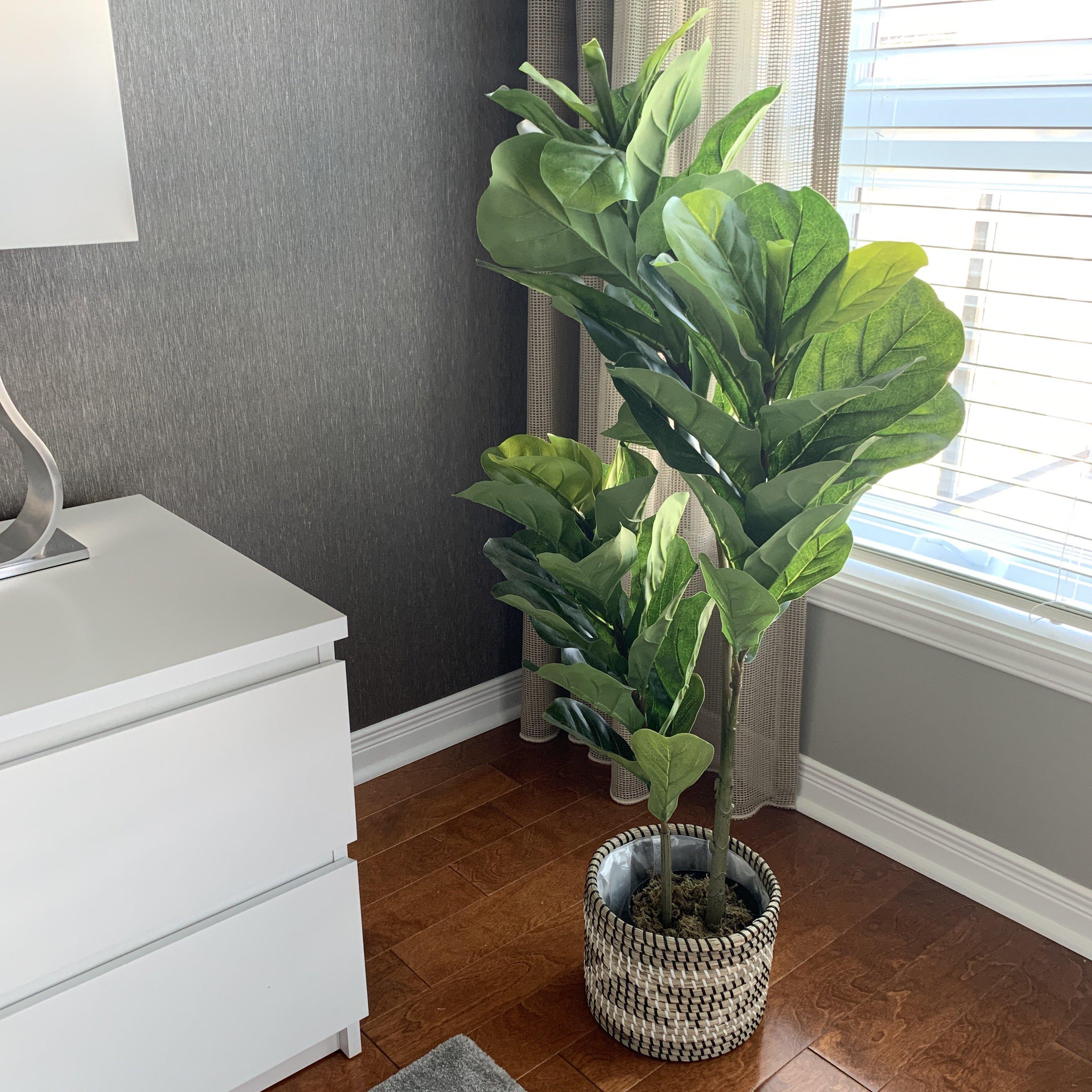 How to pick your 1st faux fiddle leaf fig tree online? | Artiplanto 