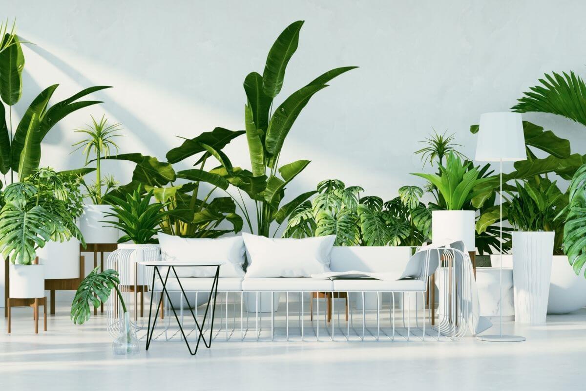 7 Stylish Planters to Give Your Plants A New Home
