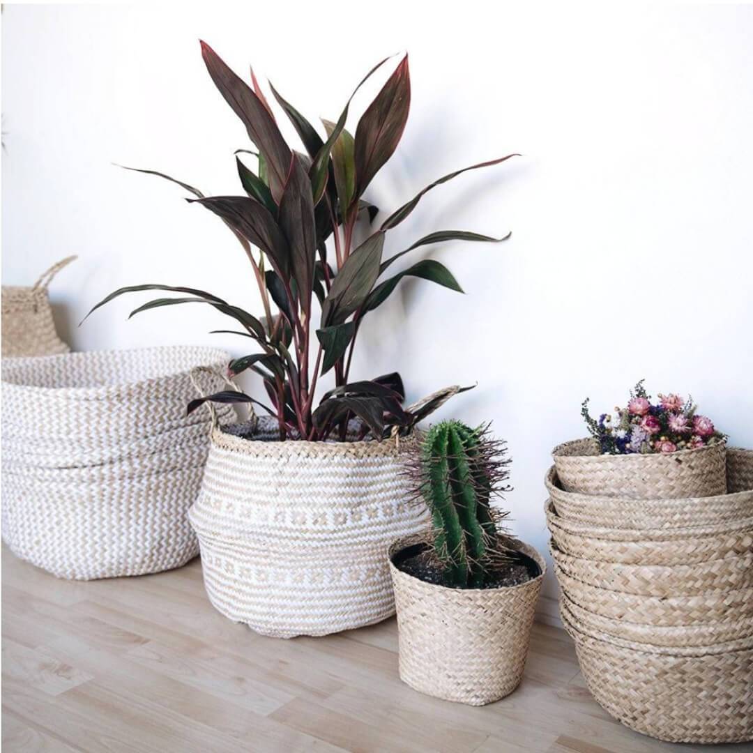 Why It's a Good Idea to Have Fake Plants at Your Bathroom