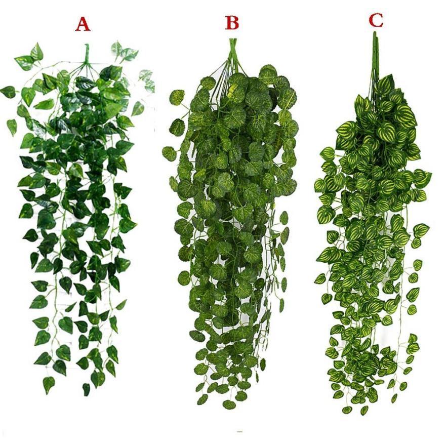 Where Should Hanging Plants Be Placed | Artiplanto