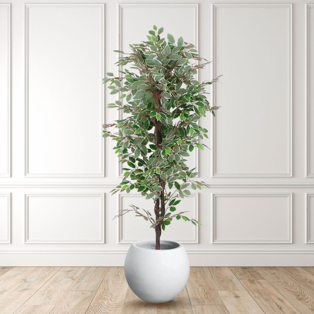 Potted Artificial Plant - Olaya Artificial Ficus Potted Plant 6'