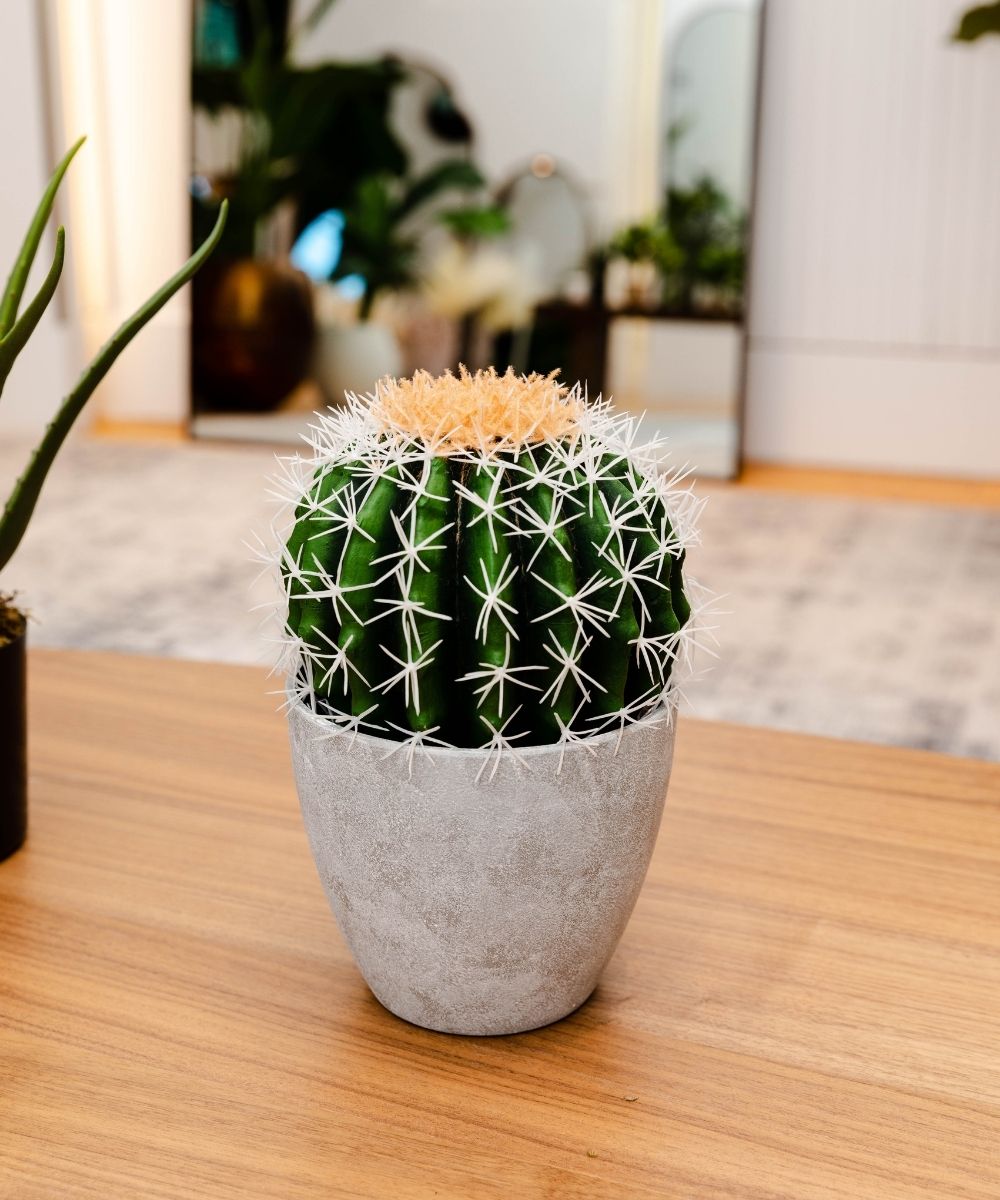 Potted Artificial Plant - Coco Artificial Cactus Potted Plant 11"
