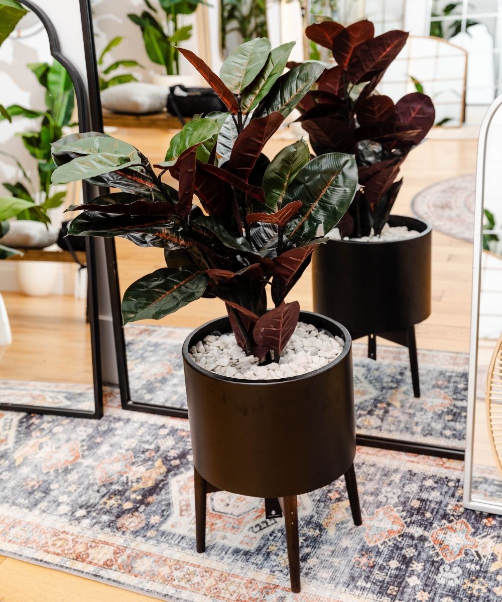 Brass Planter - Ceza - Brass Modern Plant Stand With Black Planter