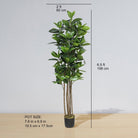 Potted Artificial Plant - Encanto Artificial Rubber Potted Plant (Multiple Sizes)