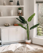 Potted Artificial Plant - Luca Artificial Bird Of Paradise Potted Plant (Multiple Sizes)