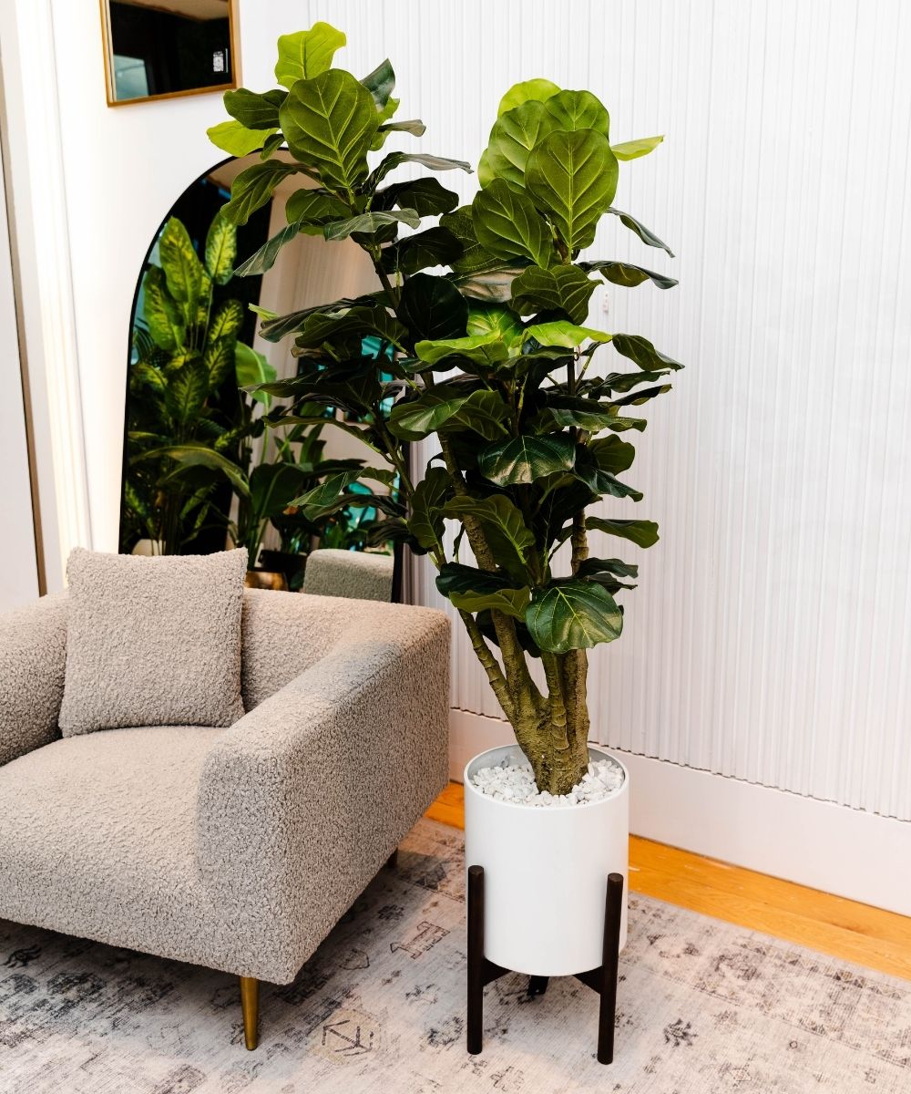 Rica Mid Century Modern Plant Stand, White Planter, Artiplanto - Rica Mid  Century Modern Plant Stand with White Planter