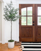 Potted Artificial Plant - Oli Artificial Olive Tree Potted Plant (Multiple Sizes)