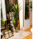 Potted Artificial Plant - Oca Artificial Century Potted Plant 63''