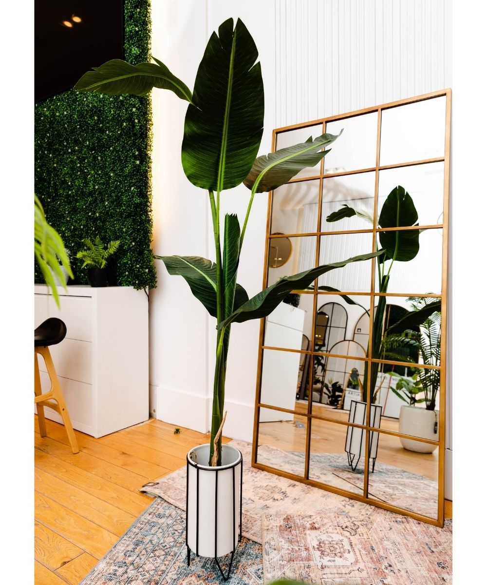 Brass Planter - Mati - White Planter With Black Stand