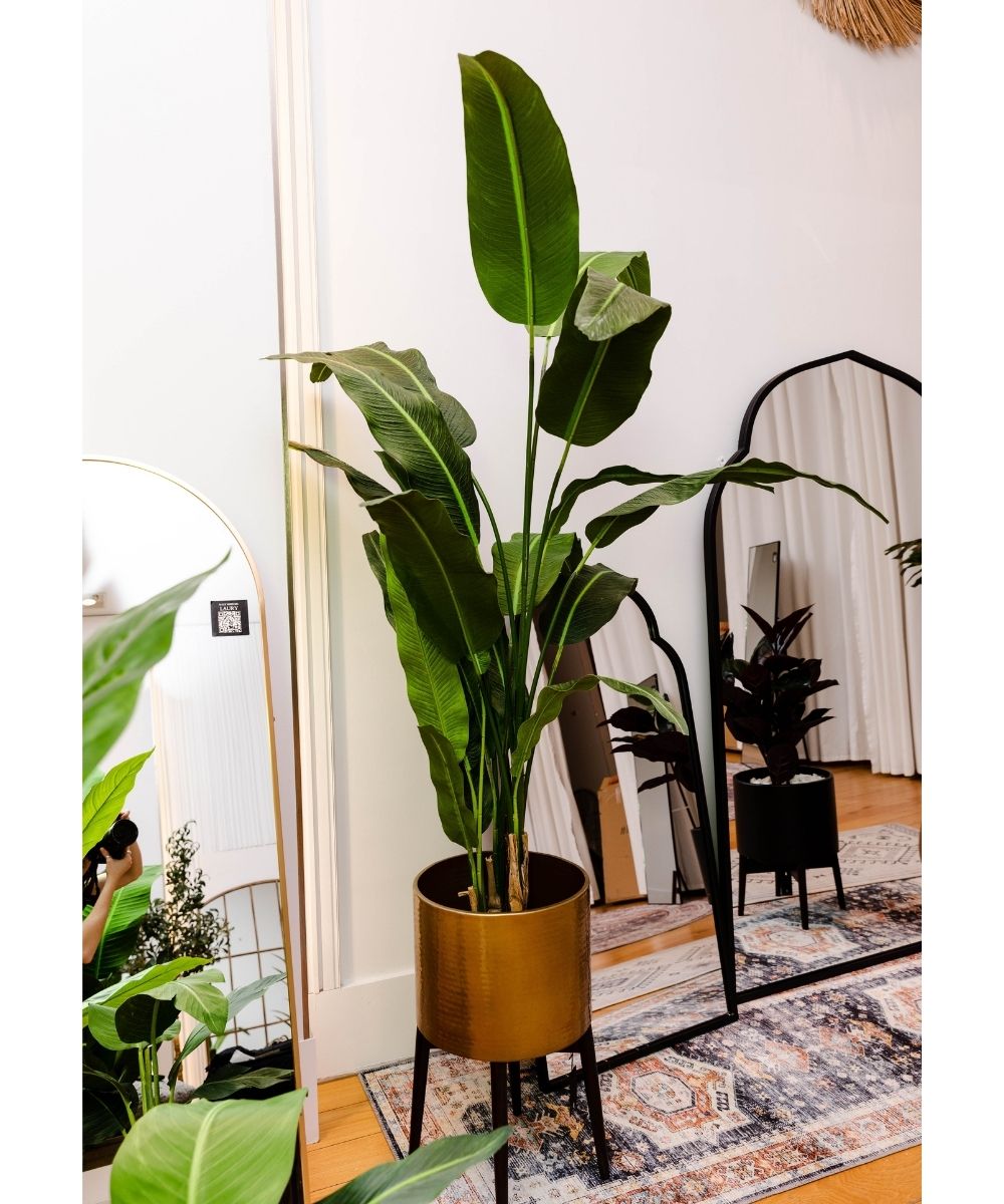 Potted Artificial Plant - Kola Artificial Travellers Palm Tree Potted Plant (Multiple Sizes)
