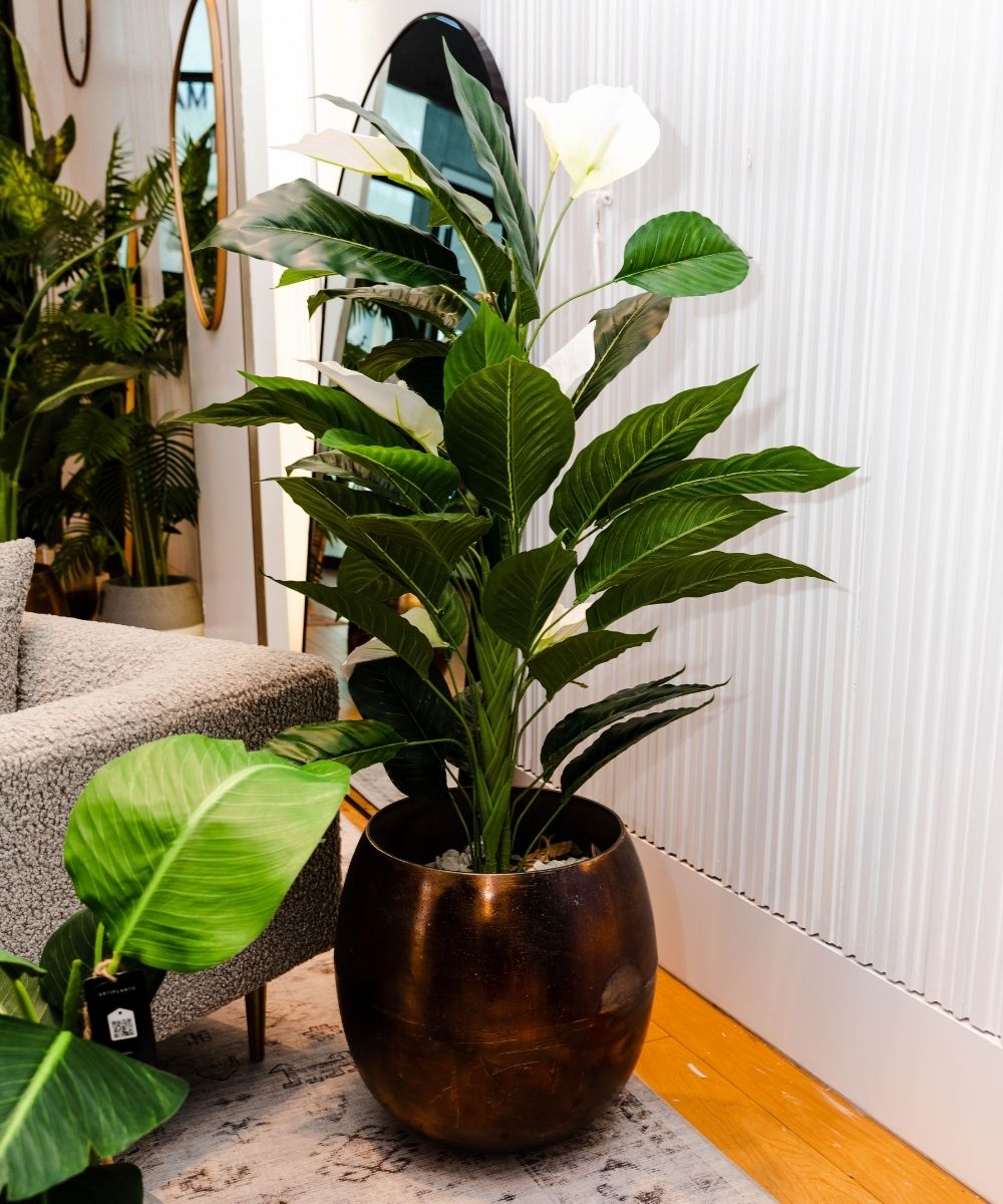 Potted Artificial Plant - Belen Artificial Anthurium Leaf Potted Plant (Multiple Sizes)