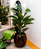 Potted Artificial Plant - Belen Artificial Anthurium Leaf Potted Plant (Multiple Sizes)