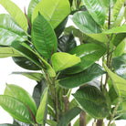 Potted Artificial Plant - Encanto Artificial Rubber Potted Plant (Multiple Sizes)