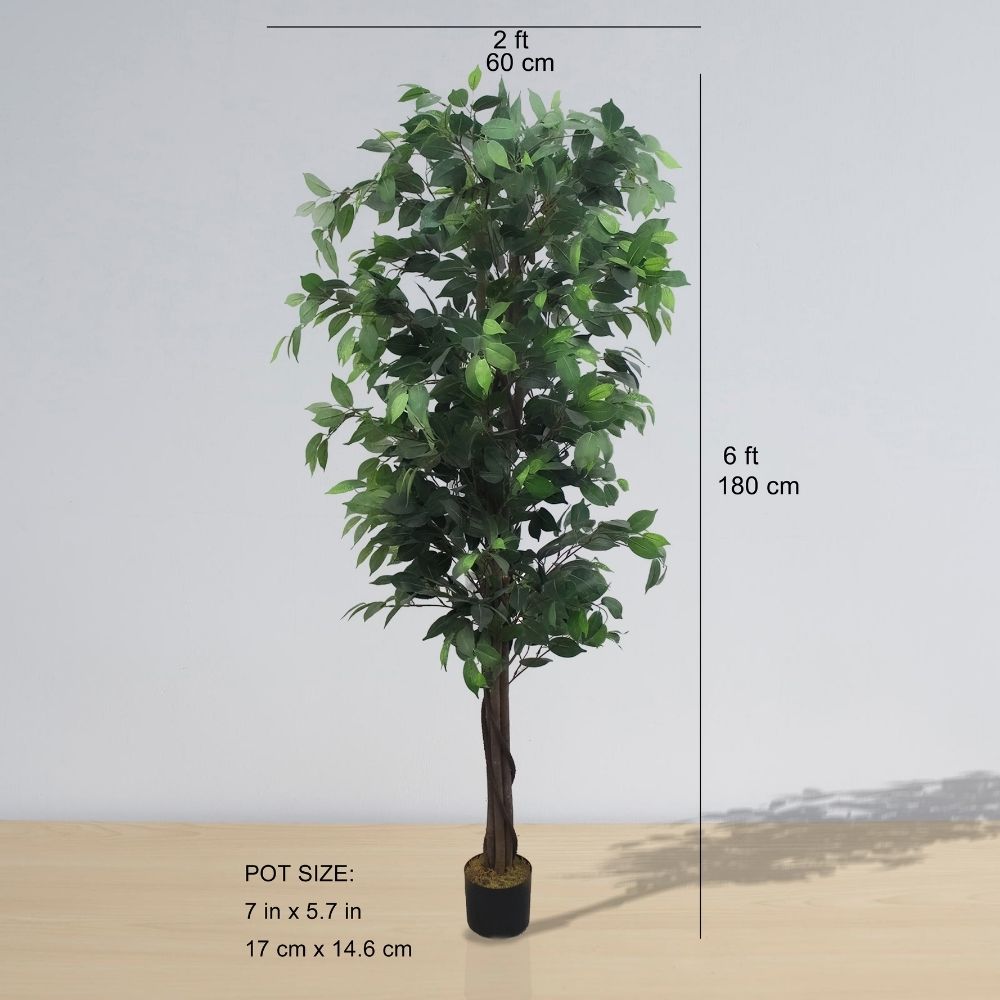 Potted Artificial Plant - Tarso Artificial Ficus Potted Plant 6'