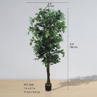 Potted Artificial Plant - Tarso Artificial Ficus Potted Plant 6'