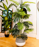 Potted Artificial Plant - Arlo Artificial Hawaii Kwai Palm Tree Potted Plant (Multiple Sizes)