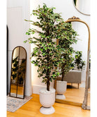 Potted Artificial Plant - Olaya Artificial Ficus Potted Plant 6'