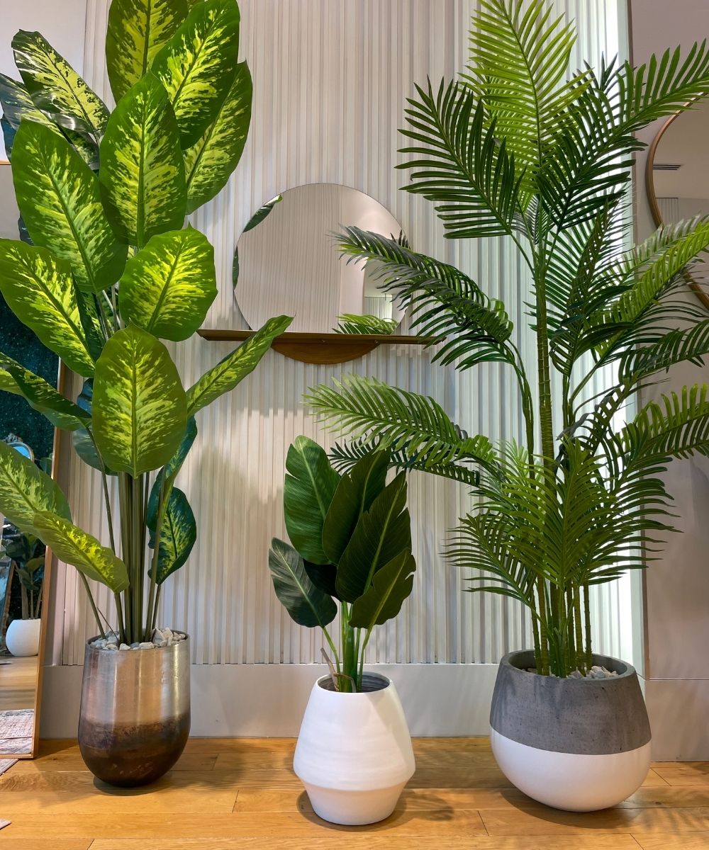Brass Planter - Petra - Brass Planter (Multiple Sizes)