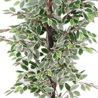Potted Artificial Plant - Olaya Artificial Ficus Potted Plant 6'