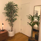 Potted Artificial Plant - Olaya Artificial Ficus Potted Plant 6'