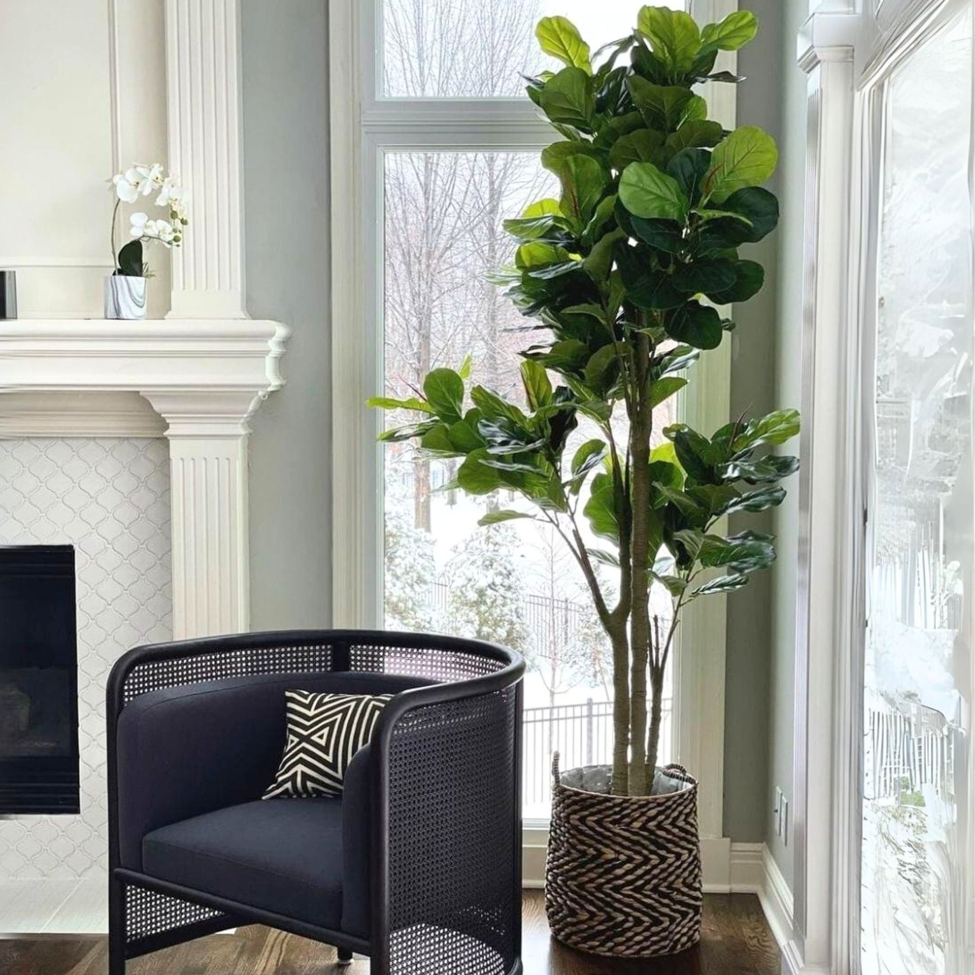 faux potted fiddle leaf fig trees Nora Artificial Fiddle Leaf Potted Plant (Multiple Sizes)
