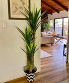 Potted Artificial Plant - Oca Artificial Century Potted Plant 63''