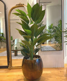 Potted Artificial Plant - Belen Artificial Anthurium Leaf Potted Plant (Multiple Sizes)