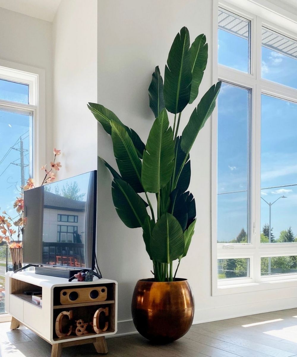 Brass Planter - Gaby - Copper Brass Mid-Century Planter (Multiple Sizes)