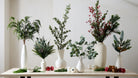White Vase Collection