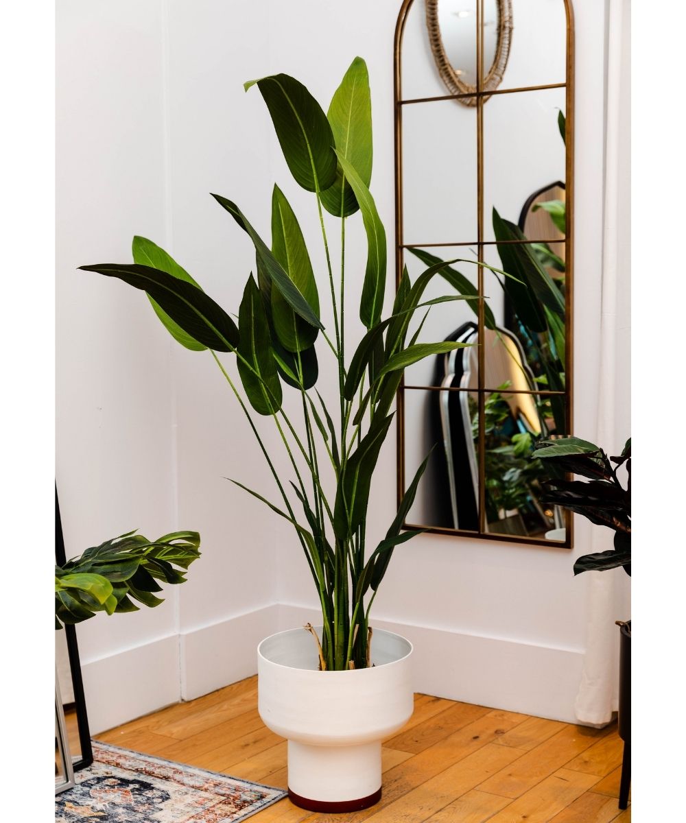 Cana Artificial Canna Potted Plant (Multiple Sizes)