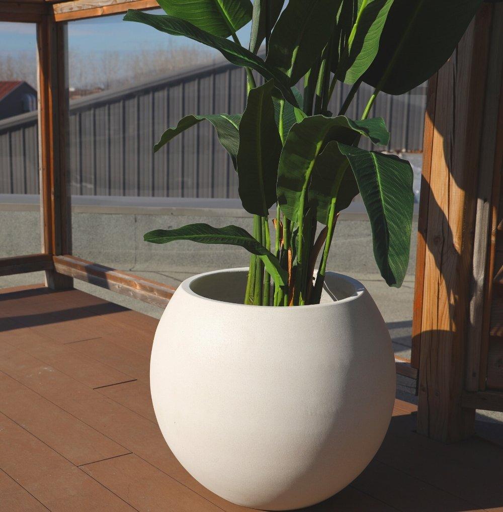 Rolo Round Cement Planter (Multiple Sizes)