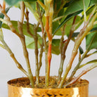 MORENO POTTED FAUX WATERCRESS PLANT Tabletop Plant ArtiPlanto 