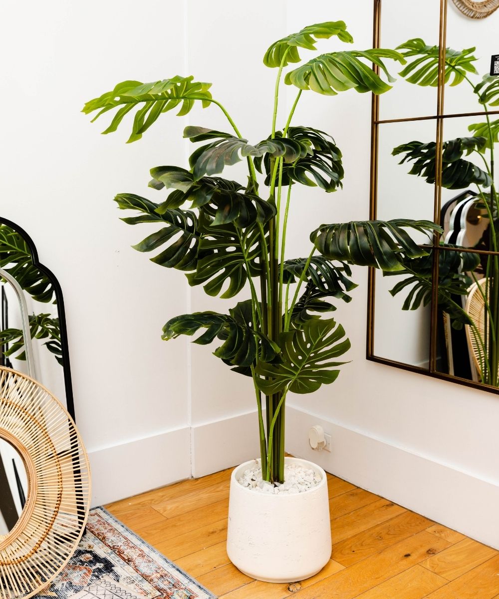 Rita Artificial Monstera Potted Plant (Multiple Sizes)