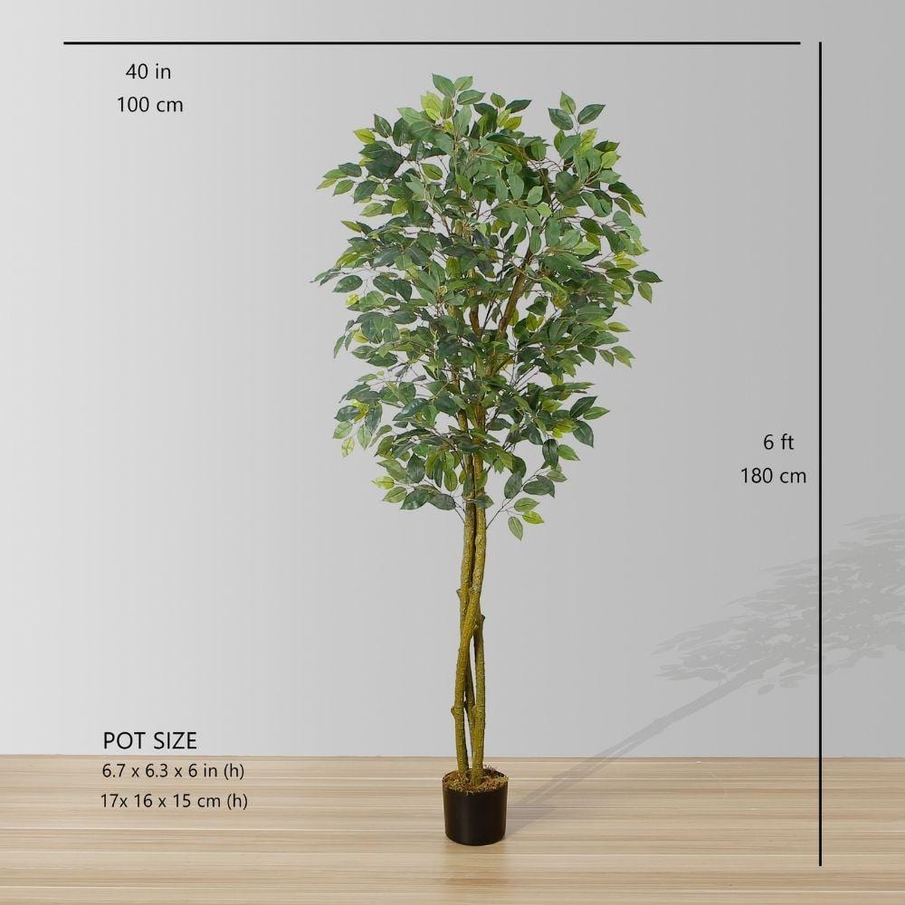 Benja Artificial Ficus Tree Potted Plant 6’