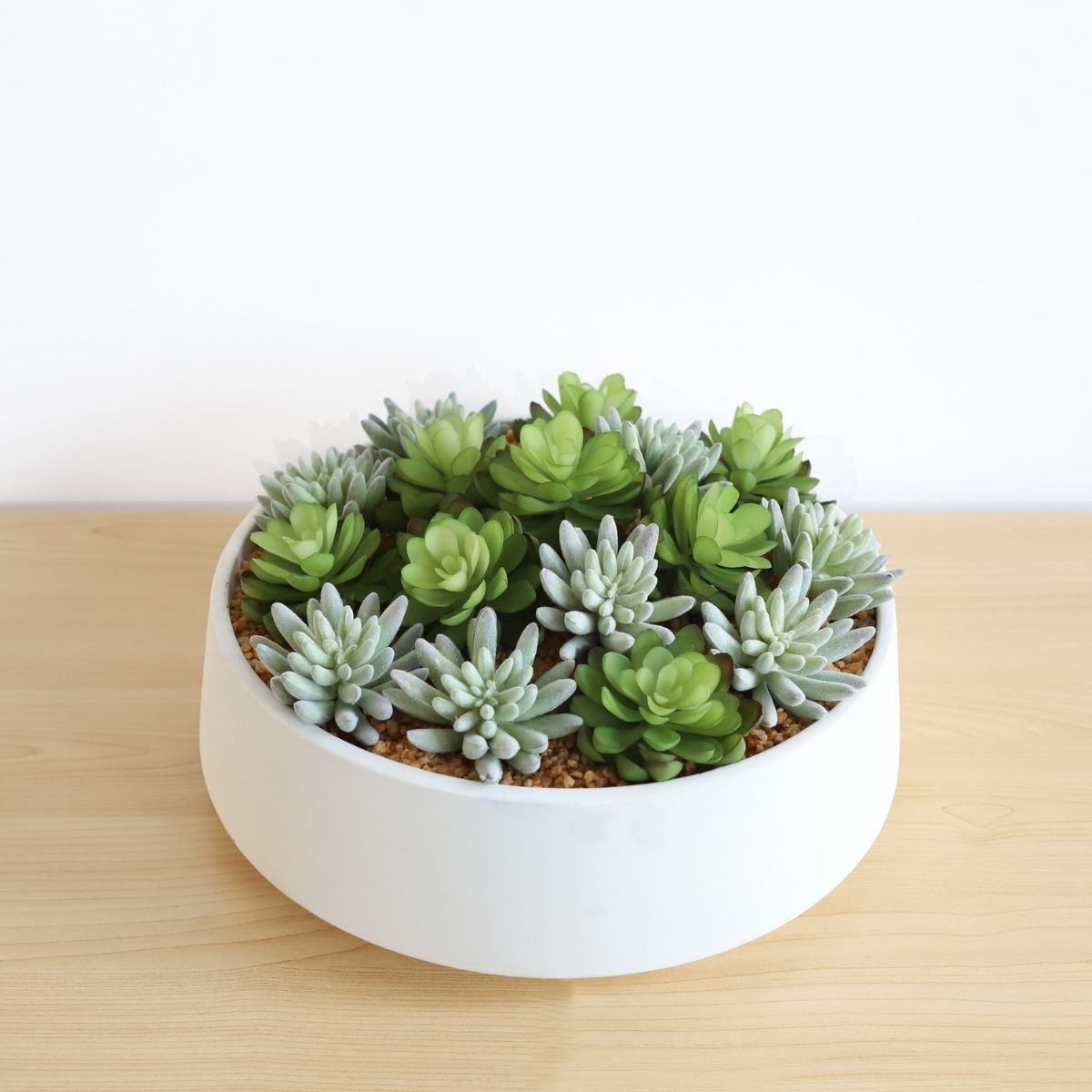 Eva Artificial Succulent Arrangement in Low White Pot