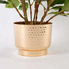 MORENO POTTED FAUX WATERCRESS PLANT Tabletop Plant ArtiPlanto 