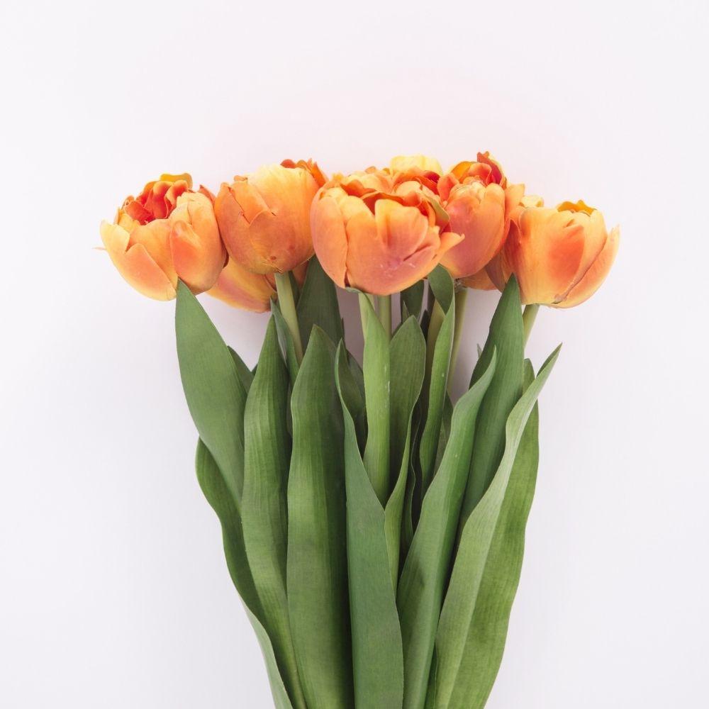 Arleta Artificial Orange Tulip Bouquet 23''X 8'' (Set Of 8)