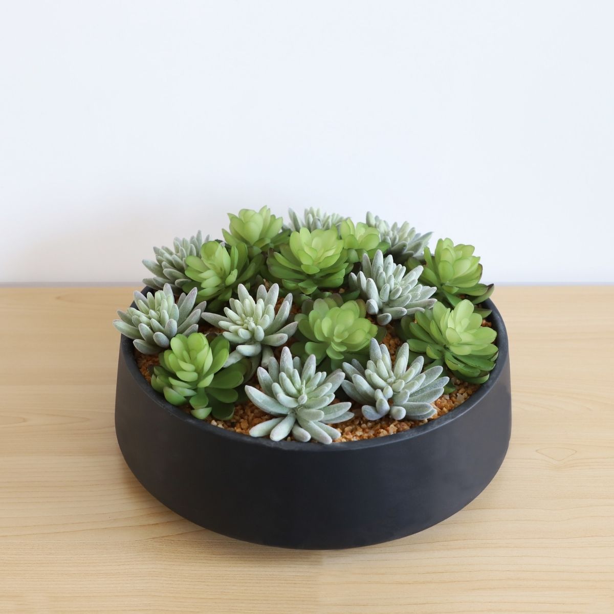 Kae Artificial Succulent Arrangement in Low Black Pot