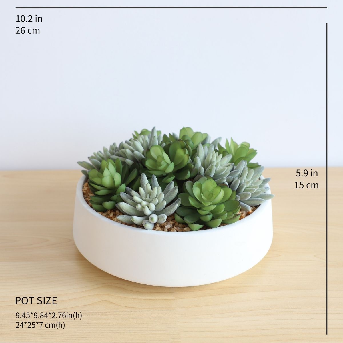 Eva Artificial Succulent Arrangement in Low White Pot
