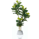 GIA CEMENT PLANTER Cement Planter ArtiPlanto 
