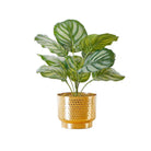 Calathea Faux Potted Plant Potted Artificial Plant ArtiPlanto 