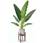 ROMA MID-CENTURY ROCK PLANTER WITH WOODEN STAND Brass Planter ArtiPlanto 
