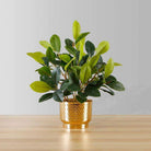 MORENO POTTED FAUX WATERCRESS PLANT Tabletop Plant ArtiPlanto 
