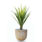 TREVI CEMENT PLANTER (MULTIPLE SIZES) Cement Planter ArtiPlanto 