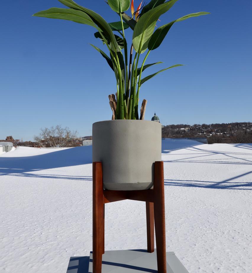 Lori Grey Mid-Century Planter With Wooden Stand
