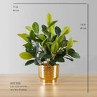 MORENO POTTED FAUX WATERCRESS PLANT Tabletop Plant ArtiPlanto 